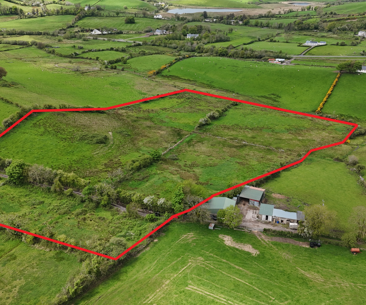 Glasbolie, Ballintra