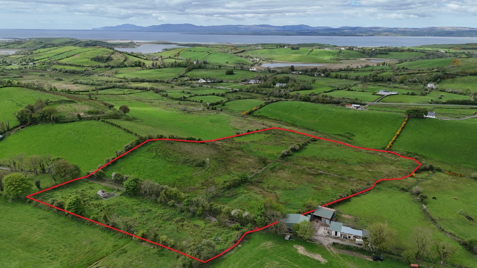 Glasbolie, Ballintra