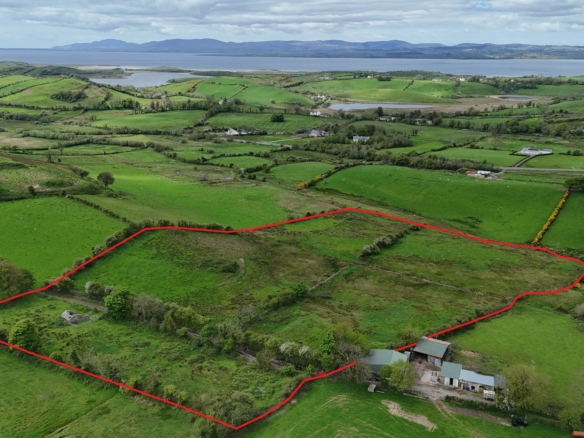 Glasbolie, Ballintra