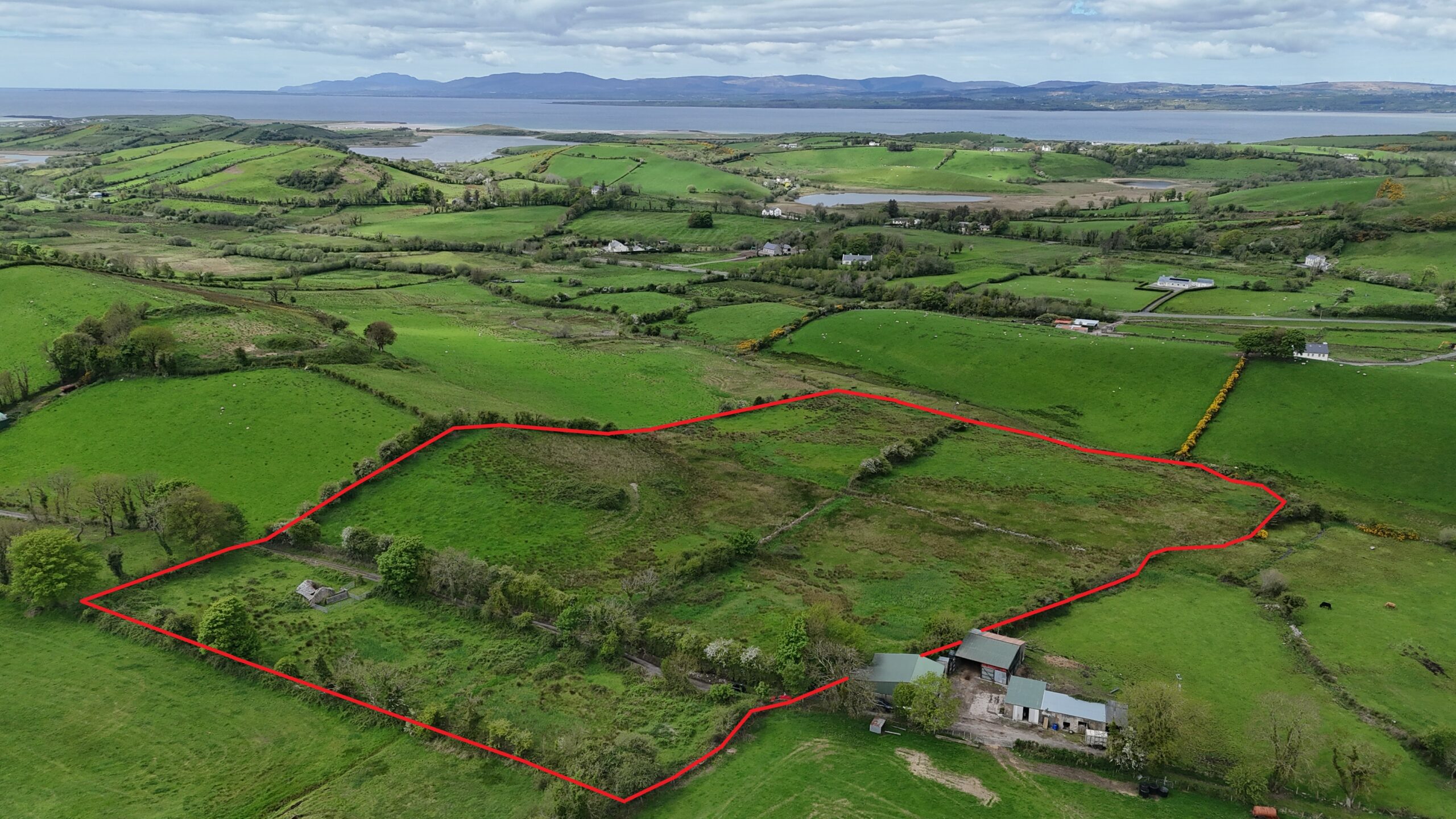 Glasbolie, Ballintra