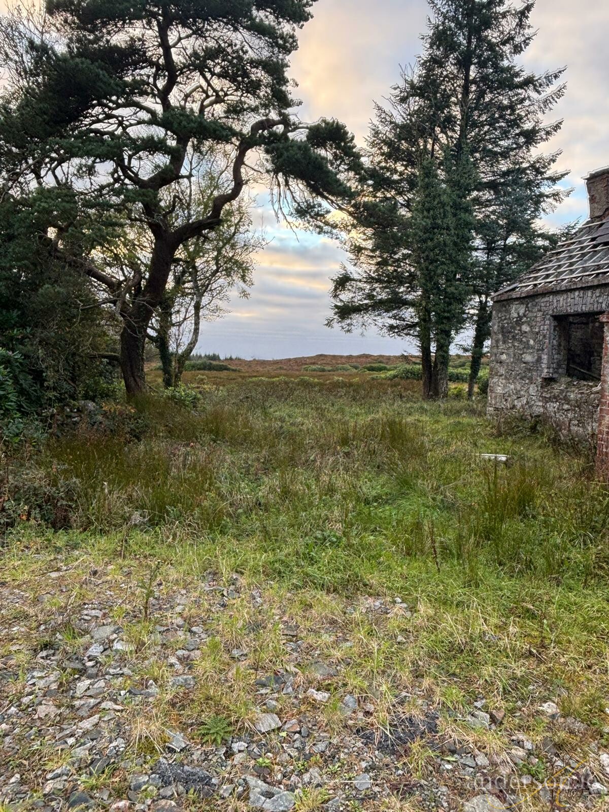 Meenshaffin, Pettigo