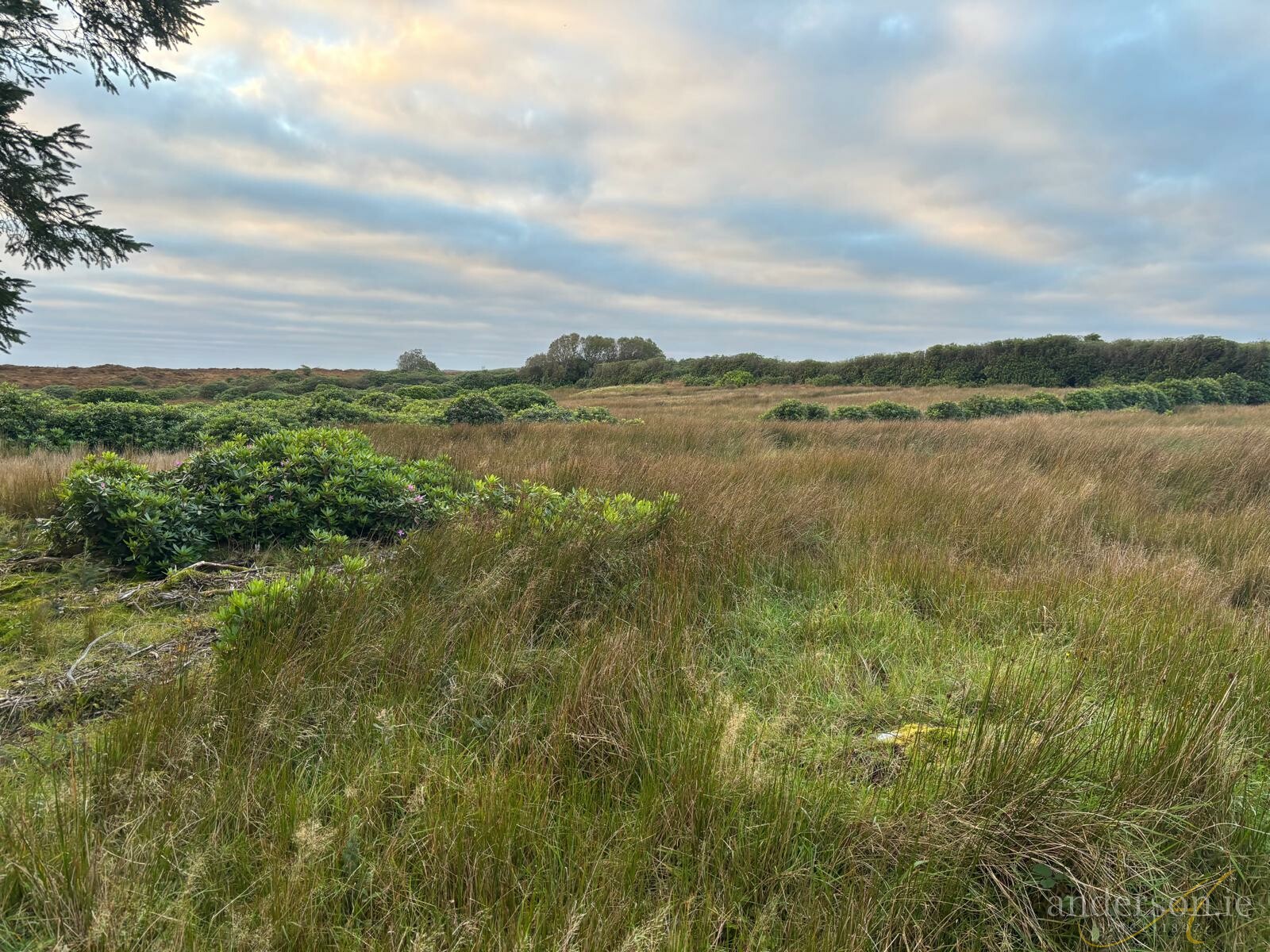 Meenshaffin, Pettigo