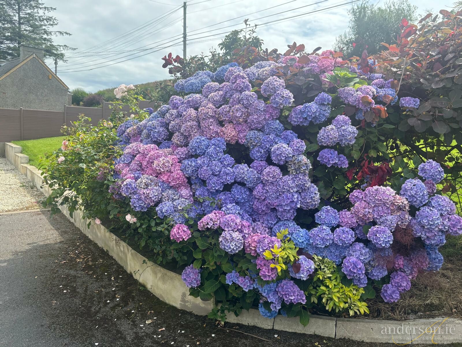 Rockhill, Ballintra